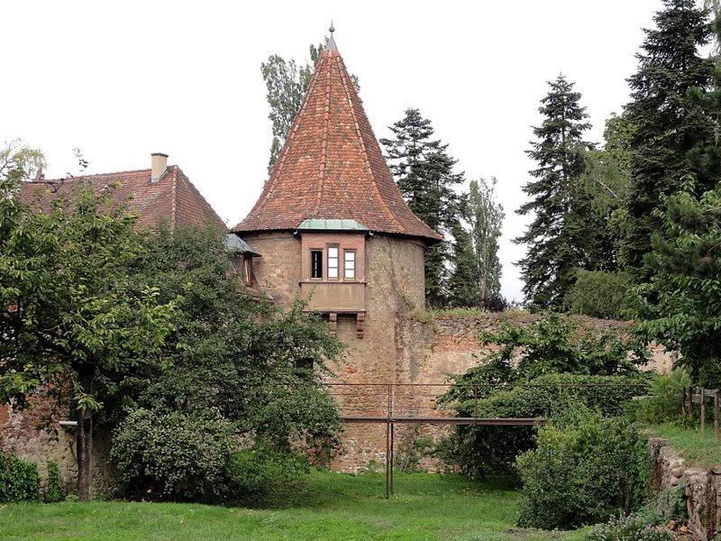 Gite, Maison Independante "Chez Yvette Et Andre" 2 A 6 Pers, Ribeauville A 3 Km, Colmar A 10 Km Guémar Екстериор снимка