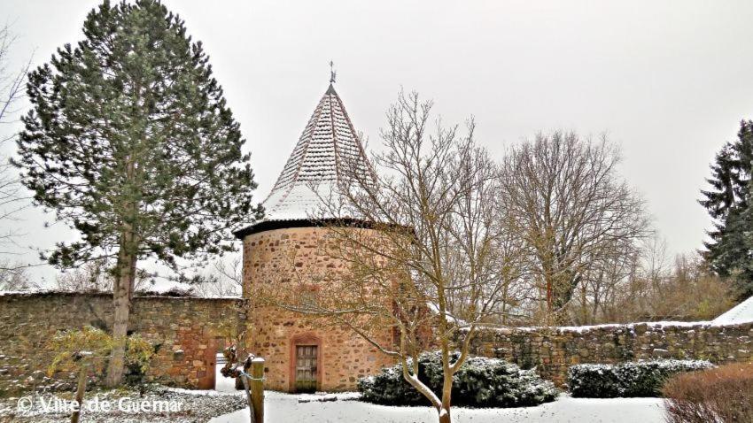 Gite, Maison Independante "Chez Yvette Et Andre" 2 A 6 Pers, Ribeauville A 3 Km, Colmar A 10 Km Guémar Екстериор снимка