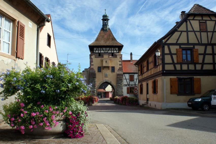 Gite, Maison Independante "Chez Yvette Et Andre" 2 A 6 Pers, Ribeauville A 3 Km, Colmar A 10 Km Guémar Екстериор снимка